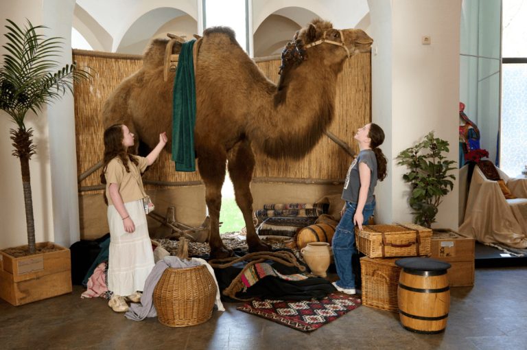 Expositie Schatten van de Oude Wereld — museum-expo in Nijmegen