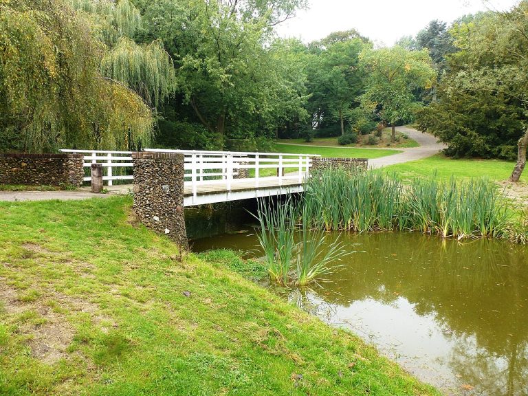 Wandeling in Goffertpark — Natuur in Nijmegen