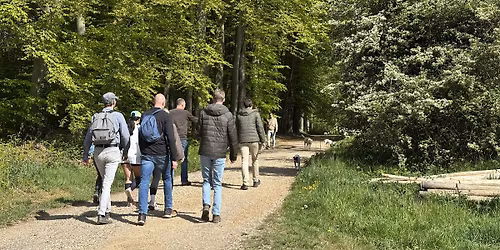 Social & Step Nijmegen met de Walk Club — Natuur in Nijmegen