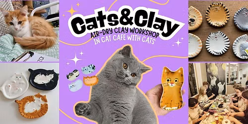 Cats&Clay – clay workshop in cat cafe with cats – Nijmegen — attracties in Nijmegen