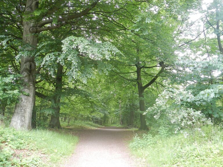 De stem van Nijmegen | Audiotour — Natuur in Nijmegen